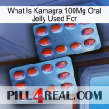 What Is Kamagra 100Mg Oral Jelly Used For 05